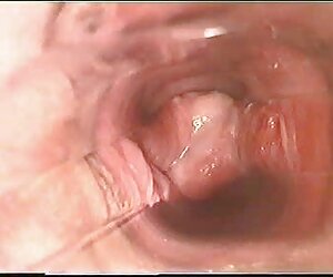 Quá khích, vlxx phim sex hd 4